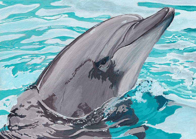 水彩・アクリル